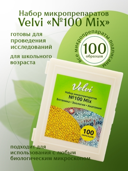 Набор готовых микропрепаратов для микроскопа Velvi 