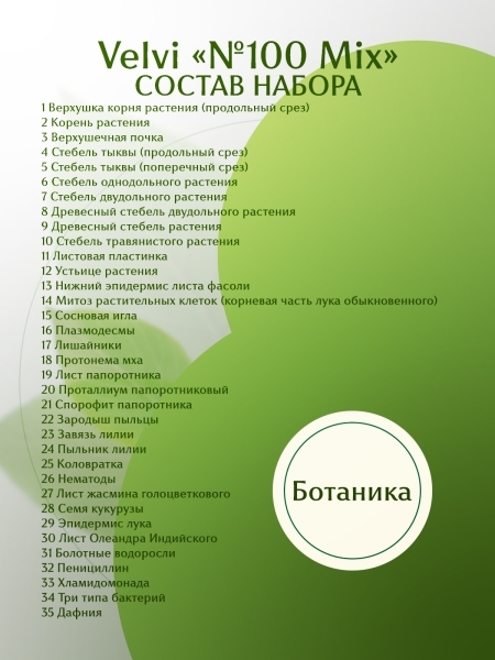 Набор готовых микропрепаратов для микроскопа Velvi 