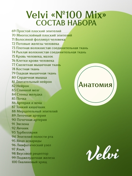 Набор готовых микропрепаратов для микроскопа Velvi 