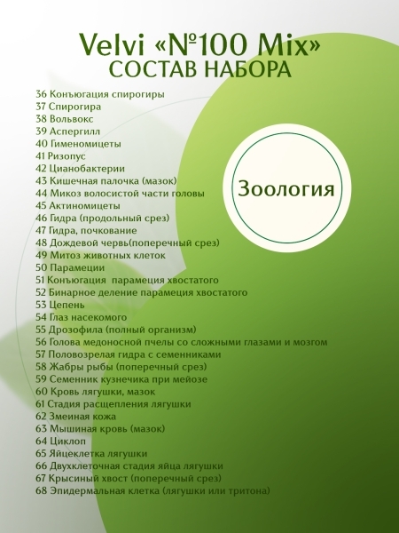 Набор готовых микропрепаратов для микроскопа Velvi 