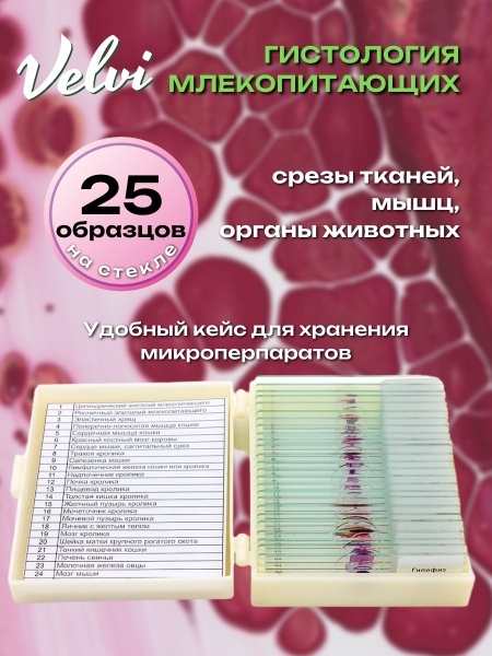 Микропрепараты для микроскопа Velvi 