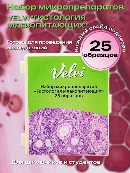 Микропрепараты для микроскопа Velvi 