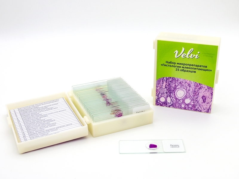 Микропрепараты для микроскопа Velvi 