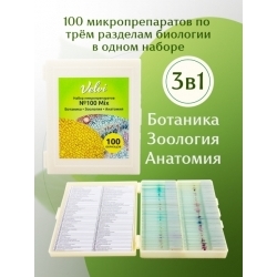Набор готовых микропрепаратов для микроскопа Velvi 