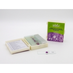 Микропрепараты для микроскопа Velvi 