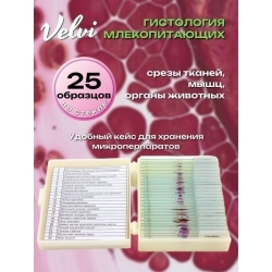 Микропрепараты для микроскопа Velvi 