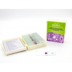 Микропрепараты для микроскопа Velvi 